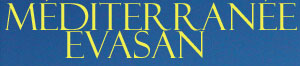 logo1